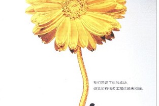 南山租房信息 郑州办公楼出租